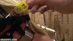 Bondage and discipline in p with a red cow milker and cowgirl theme