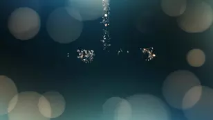 Hanna's solo scene that allots time for both sensual pleasures and hard action