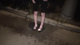 A sexy amateur video with a white girl having rough sex in a car at night